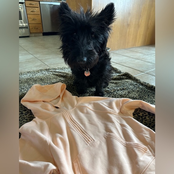 Super cute 1/4 zip hoodies, xs. Price per sweater - Picture 4 of 4